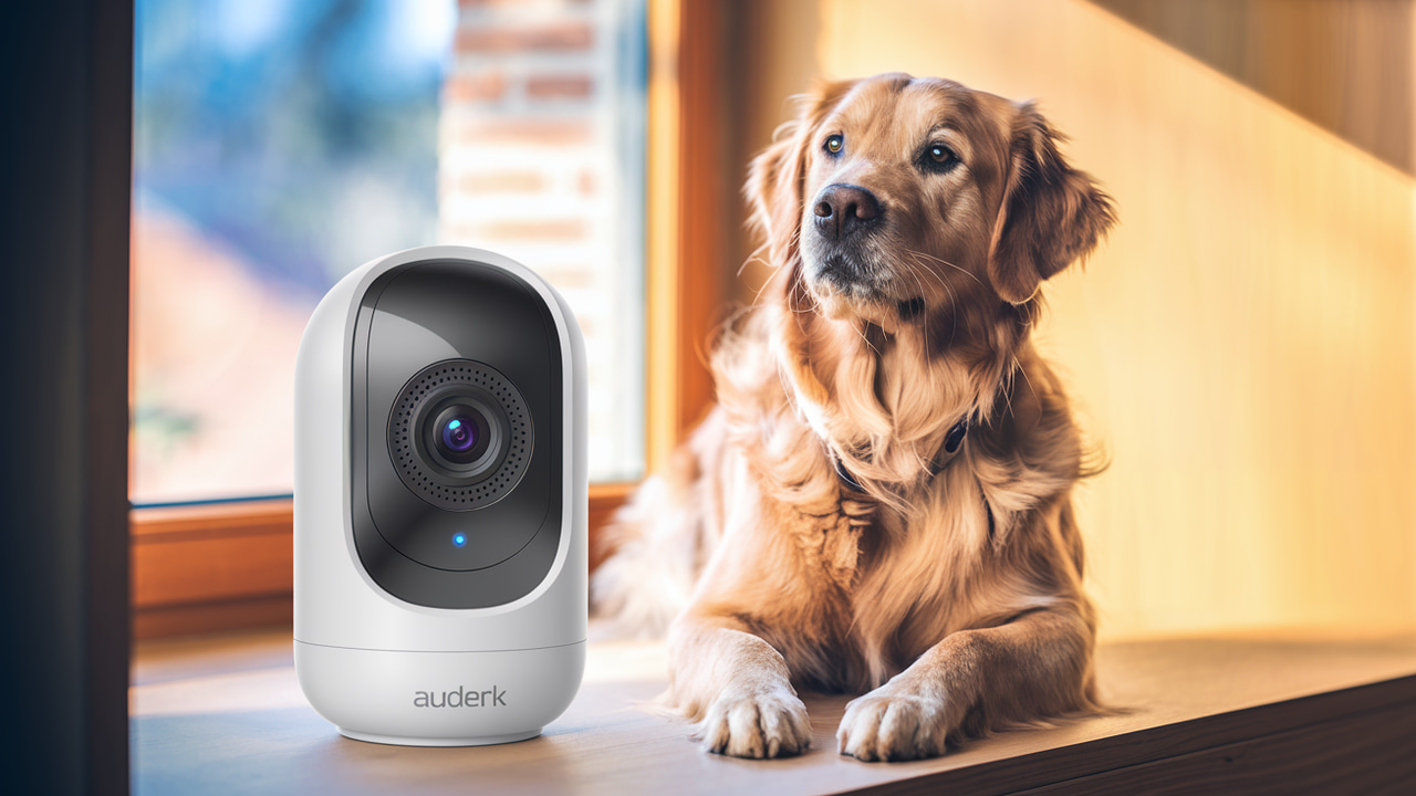 Best Indoor Cameras with Two-Way Audio for Pet Monitoring